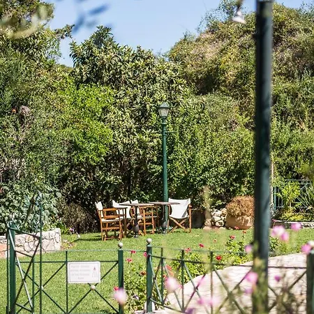 Nikiforos Corfu Daire Mesongí